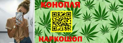 СК Абакан