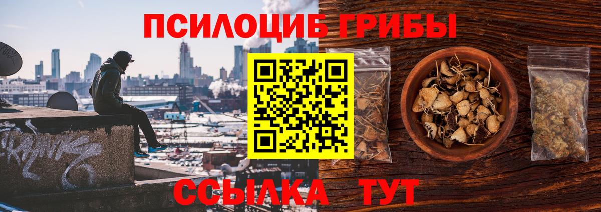 Галлюциногенные грибы мицелий  Вход с VPN  Александров 