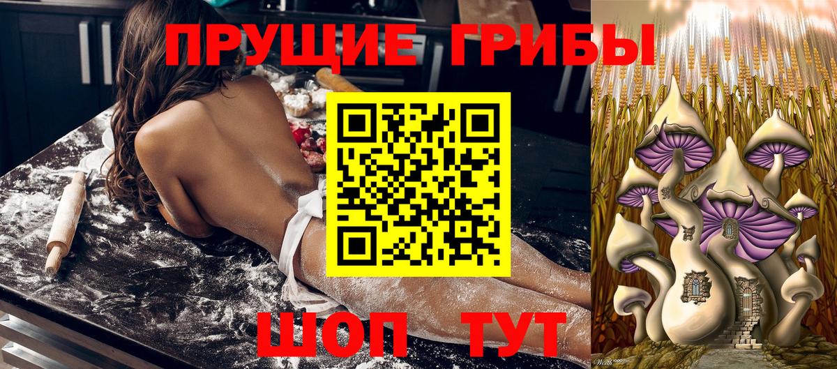 Псилоцибиновые грибы прущие грибы Александров